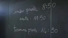 esami di maturita al Liceo Classico Arnaldo, Brescia 19 giugno 2024. Ansa Filippo Venezia