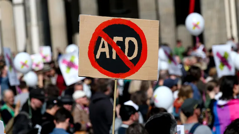 Proteste contro il partito tedesco AfD
