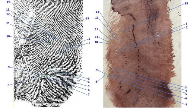 Il confronto effettuato tra l'impronta di Andrea Sempio e quella trovata vicino al corpo di Chiara Poggi. Quindici "minuzie dattiloscopiche" collegano Sempio all'impronta fotografata 18 anni fa su un muro della villetta di Garlasco in cui venne trovata morta la ragazza, secondo quanto stabilito dalla consulenza disposta dalla Procura di Pavia nell'ambito della nuova indagine sul delitto. ANSA (NPK)