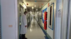 Il centro pediatrico di «Tmo» del Civile - © www.giornaledibrescia.it