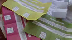 Si vota l'8 e il 9 giugno