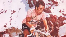 Fausto Bertoglio in maglia rosa sullo Stelvio