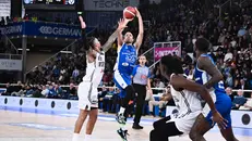 La Germani contro Bologna
