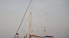 La barca della ong Freedom Flotilla Coalition con a bordo Greta Thunberg arriva a Catania, dove l'attivista svedese e l'attore Liam Cunningham terranno un panel dedicato alla missione umanitaria in partenza verso Gaza nell'ambito di Etna Comics, Catania, 30 maggio 2025. ANSA/ORIETTA SCARDINO