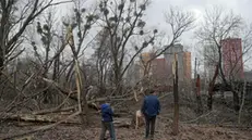 epa10431278 People look at destroyed trees after a misssile strike hit Kiyv, Ukraine, 26 January 2023. Russian missile strikes hit various energy infrastructure targets across Ukraine. According to Ukraine's energy minister Halushchenko, emergency power outages have been introduced and the most difficult situation were currently observed in Kyiv, Odesa and Vinnytsia oblasts. EPA/SERGEY DOLZHENKO