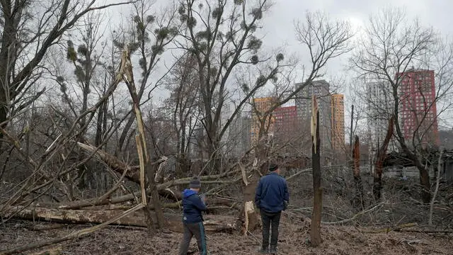 epa10431278 People look at destroyed trees after a misssile strike hit Kiyv, Ukraine, 26 January 2023. Russian missile strikes hit various energy infrastructure targets across Ukraine. According to Ukraine's energy minister Halushchenko, emergency power outages have been introduced and the most difficult situation were currently observed in Kyiv, Odesa and Vinnytsia oblasts. EPA/SERGEY DOLZHENKO