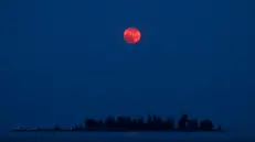 La luna di fragola sopra San Felice del Benaco - Foto Emma Pezzi