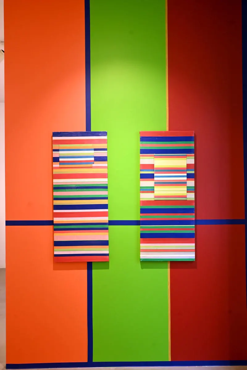 L'inaugurazione della mostra «On The Matter» al Mo.Ca