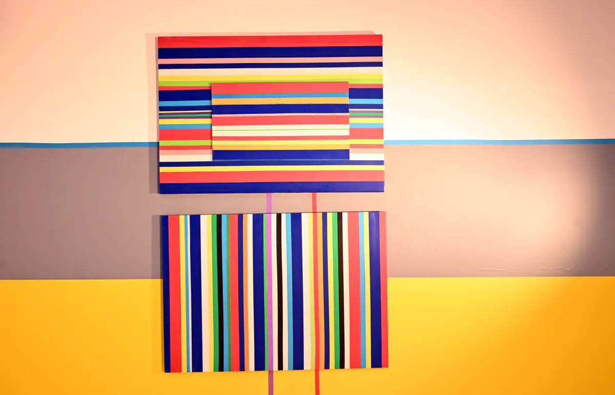 L'inaugurazione della mostra «On The Matter» al Mo.Ca