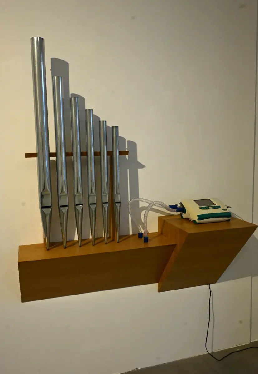 L'inaugurazione della mostra «On The Matter» al Mo.Ca