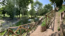 Il Percorso Natura a Cigole