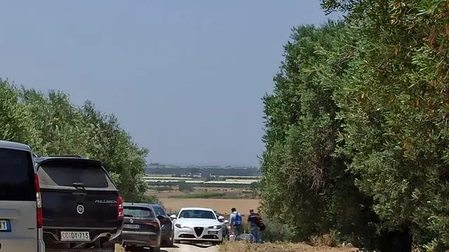 Forze dell'ordine sul luogo dove sono stati catturati i rapinatori che questa mattina hanno aperto il fuoco contro il brigadiere capo Carlo Legrottaglie uccidendolo nelle campagne tra Francavilla Fontana e Grottaglie. A quanto si apprende sono stati catturati nei pressi di una masseria a Grottaglie, in provincia di Taranto, dopo un altro conflitto a fuoco, 12 giugno 2025. ANSA/DANILO SANTORO