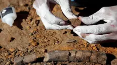 epa08336056 (29/43) Chilean biologist Valentina Poblete glues together the rib of a hadrosaurid part of a fossil outcrop in the Valley of Las Chinas, in the Chilean Patagonia, Chile, 26 February 2020. In its 10th edition, a multidisciplinary group of scientists from Chile, Argentina, Brasil and Hungary took part in a two-week-long paleontological expedition in the Magallanes and Chilean Antarctica Region. Geologists, paleobotanists and biologists worked on terrain discovering vertebrate fossils, studied sediments and rock layers and searched for fossilized vegetation. They specialized in the Cretaceous period at the end of the Mesozoic Era, coinciding with the extinction of the dinosaurs. Their work in this valley is disclosing new valuable information with groundbreaking findings that are helping to relate the common past of three continents: Oceania, South America, and Antarctica. The expedition is part of the 56th Antarctic Scientific Expedition (ECA), organized by the Chilean Antarctic Institute (INACH). EPA/FELIPE TRUEBA ATTENTION: For the full PHOTO ESSAY text please see Advisory Notice epa08336025