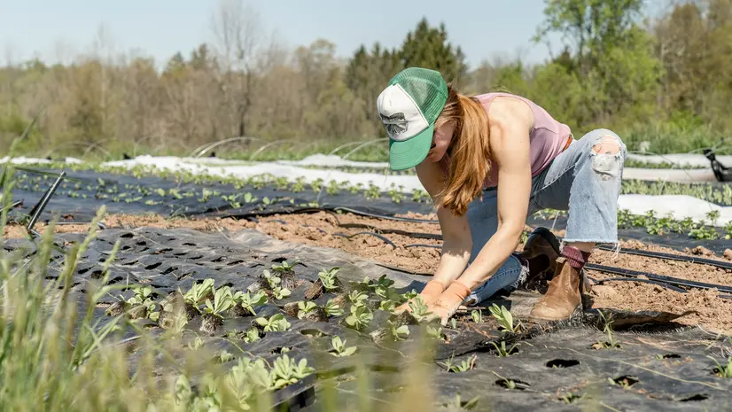 Uno dei settori più legato alla stagionalità è l'agricoltura