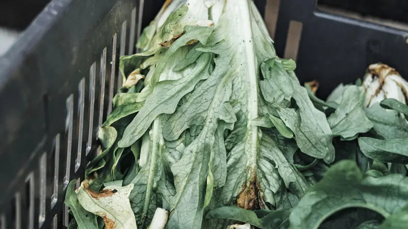 Verdure avariate