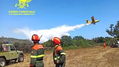 Canadair