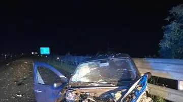 Stavano rientrando da una serata in un locale, quando l'auto senza controllo è finita contro il guardrail dell'autostrada. Così, alle 4 di notte lungo la A21 tra Pontevico e Manerbio, in provincia di Brescia, è morta Irene Zani, 17 anni compiuti da poche settimane e studentessa liceale. Era sul sedile del passeggero del veicolo guidato da un amico di 21 anni, poi risultato positivo all'etilometro con un valore di alcol nel sangue doppio rispetto al consentito e per questo arrestato con l'accusa di omicidio stradale. Il giovane è in ospedale, ricoverato in prognosi riservata, dopo il tremendo impatto che non ha lasciato scampo alla 17enne, morta sul colpo. Entrambi residenti nello stesso paese, Leno nella Bassa Bresciana, oggi sotto choc. "La comunità è senza parole. Troppo il dolore", commenta Cristina Tedaldi, sindaco di Leno dove la salma di Irene Zani è arrivata nel primo pomeriggio. Gli amici della ragazza, fin da quando la notizia è iniziata a circolare, si sono ritrovati fuori dall'abitazione in cui la 17enne viveva con la madre e il fratello. I parenti - anche il padre separato vive a Leno - si sono chiusi nel dolore. L'automobilista ha fatto tutto da solo, ma non è ancora chiaro se sia stato un colpo di sonno a fargli perdere il controllo dell'auto. I risultati dell'etilometro sono arrivati poche ore dopo il trasporto in ospedale e la polizia stradale, coordinata dalla Procura di Brescia, ha disposto gli arresti domiciliari per il 21enne. La tragedia a due settimane dalla morte in provincia di Brescia di un'altra giovanissima ragazza, la 19enne Stella Mutti, sbalzata dalla moto del fidanzato finita contro un'auto e travolta nella caduta dalla stessa due ruote. Anche in quel caso era stata riscontrata una positività all'alcol test. L'automobilista al volante della vettura contro la quale era finita la moto, aveva infatti bevuto più del consentito. Era stato solo indagato però perché la dinamica dell'incidente è ancora tutta da chiarire. Delle 51