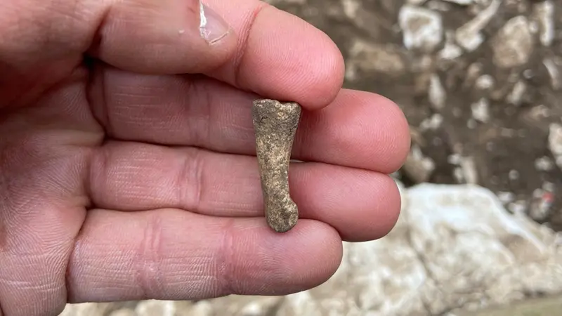 La falange ritrovata sul Monte Budellone © www.giornaledibrescia.it