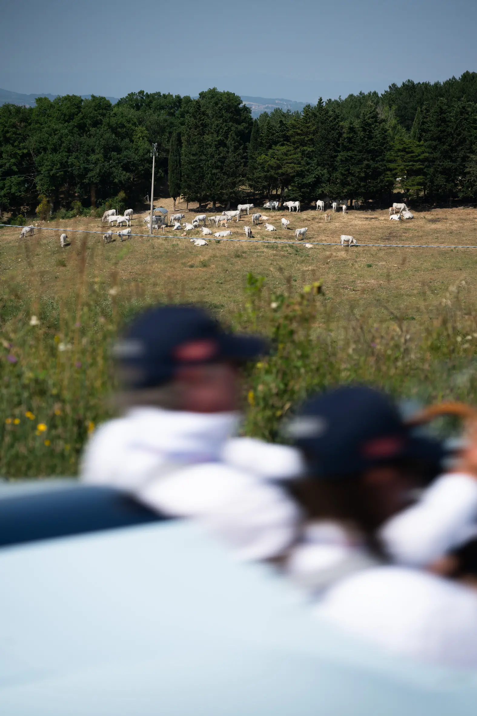 Mille Miglia 2025, il passaggio dalla Val d’Orcia