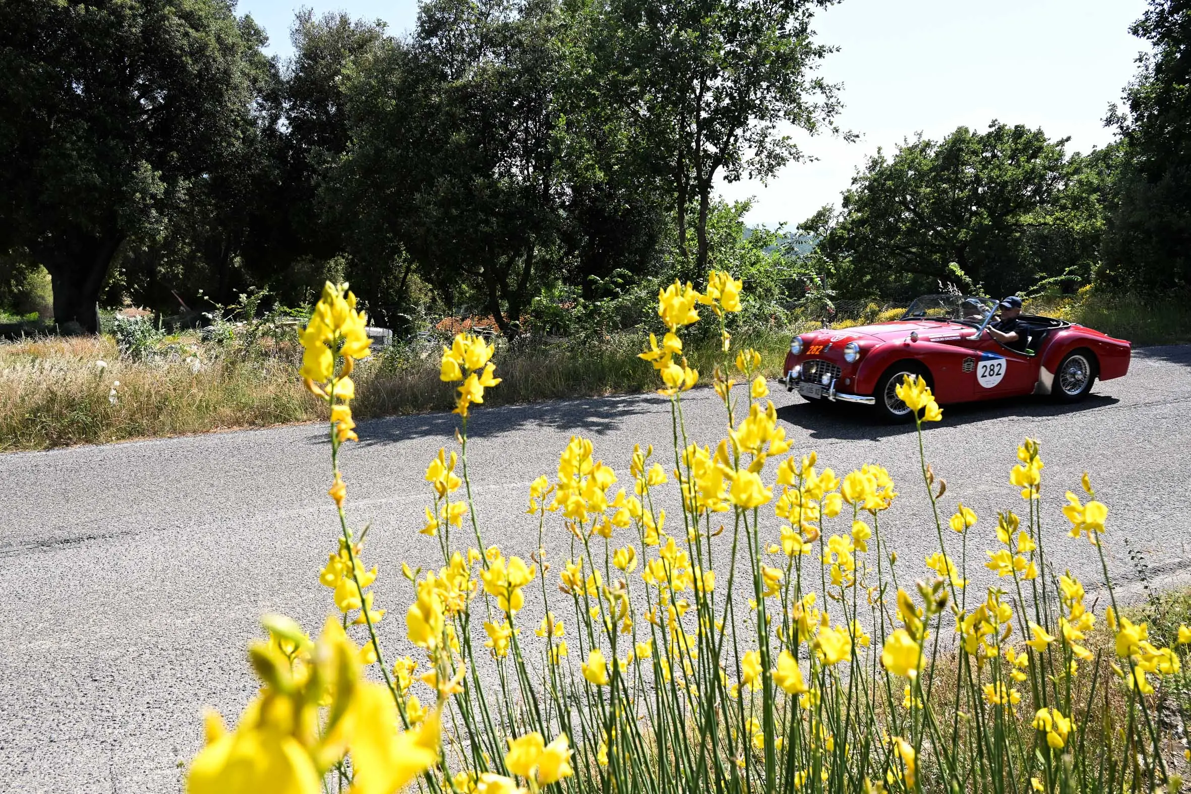 Mille Miglia 2025, il passaggio dalla Val d’Orcia