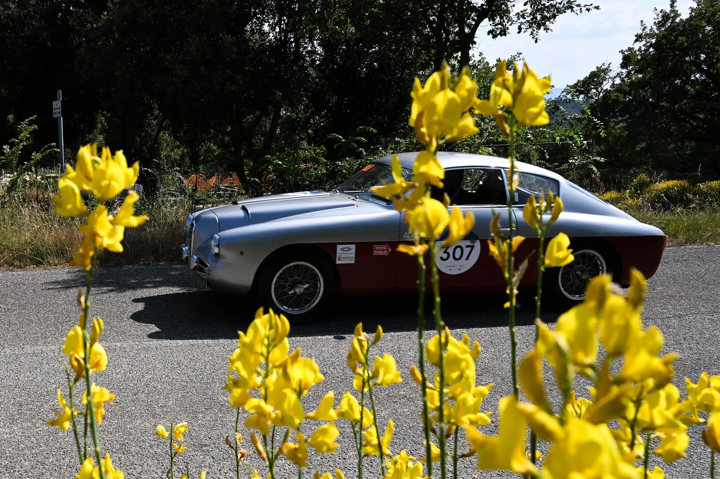 Mille Miglia 2025, il passaggio dalla Val d’Orcia