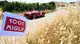Mille Miglia 2025, il passaggio dalla Via Francigena