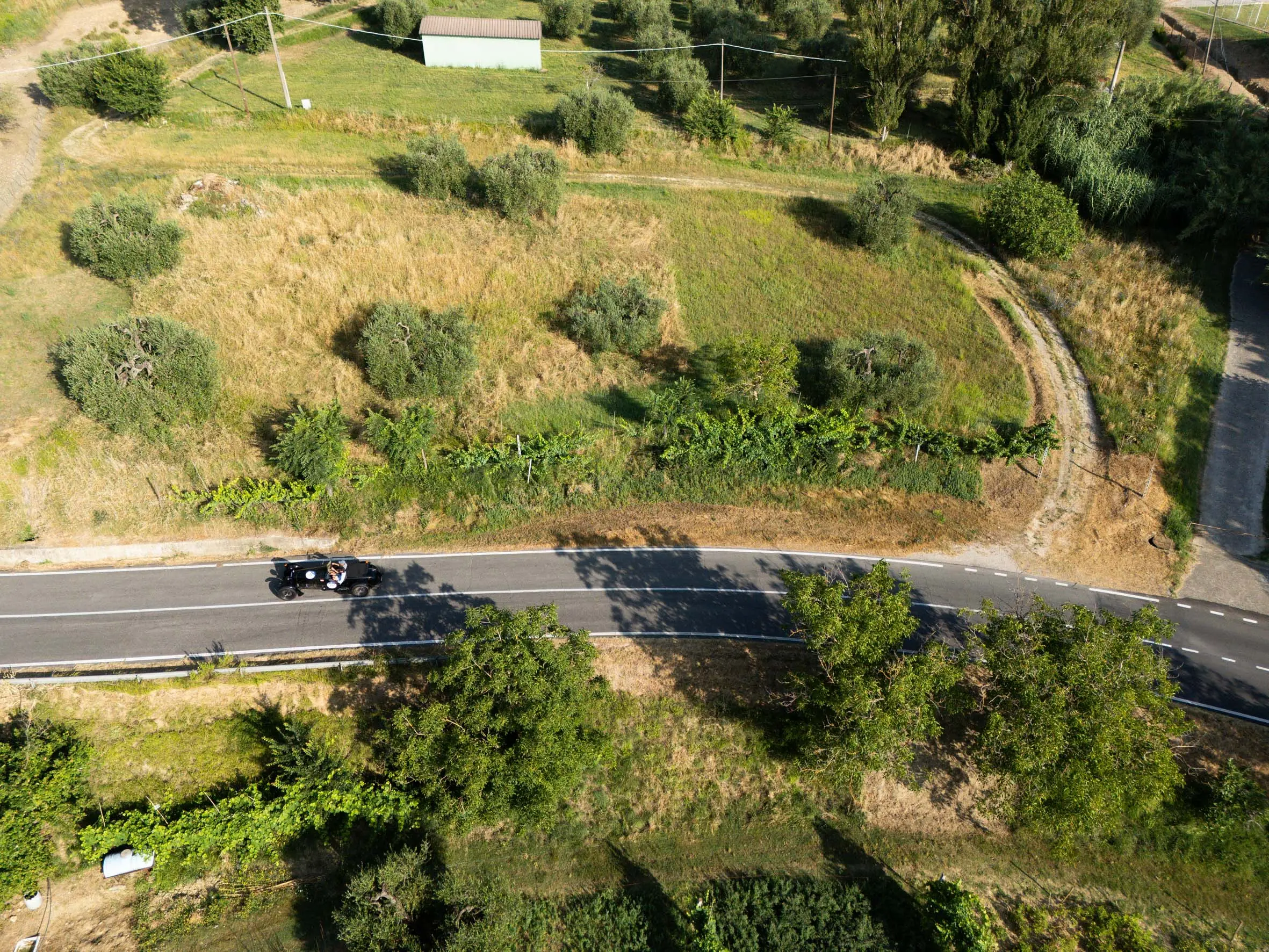Mille Miglia 2025, le prove speciali a Penna in Teverina