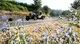 Mille Miglia 2025, il passaggio da Penna in Teverina
