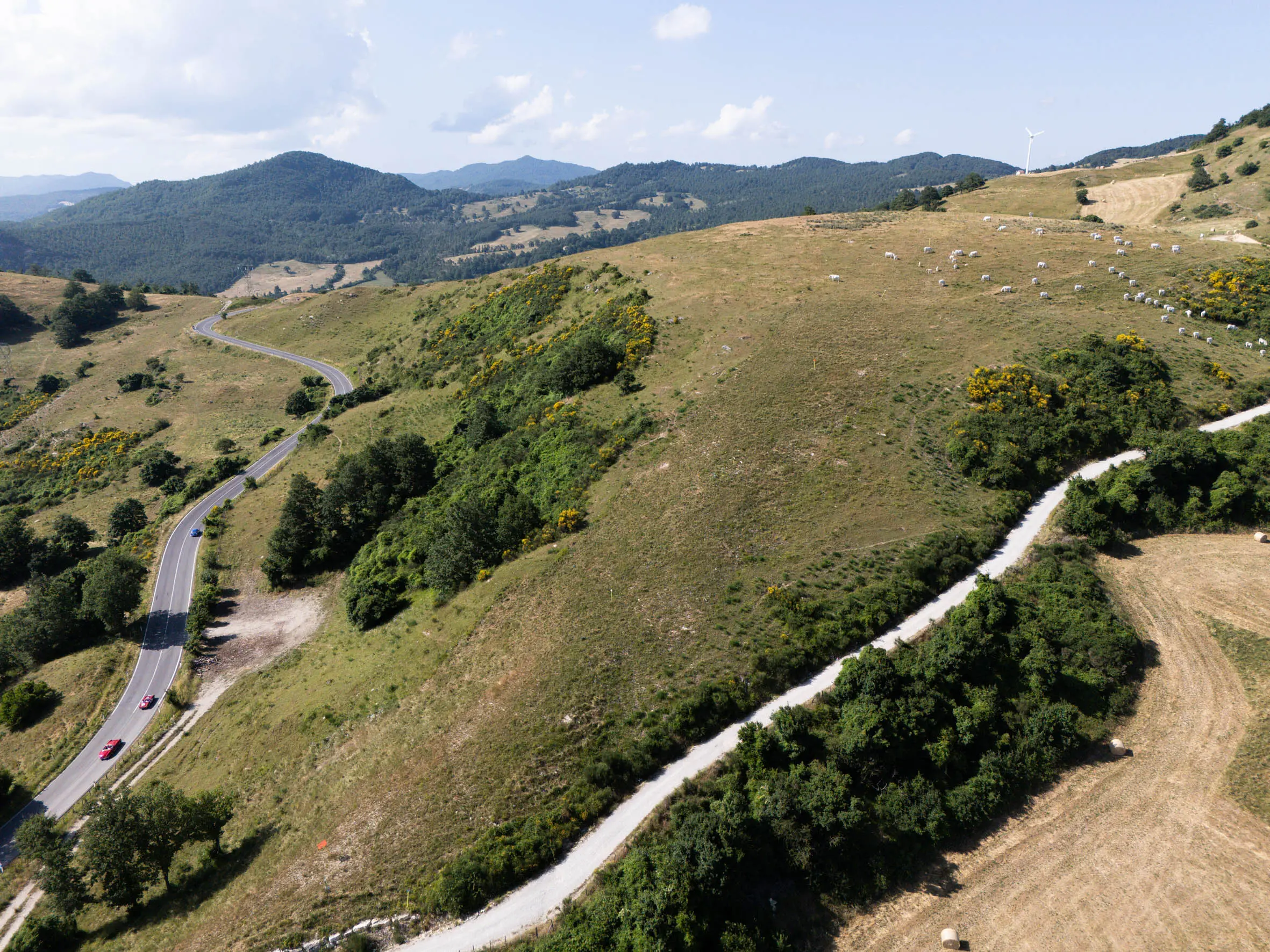 Mille Miglia 2025, la prova speciale Passo di Viamaggio