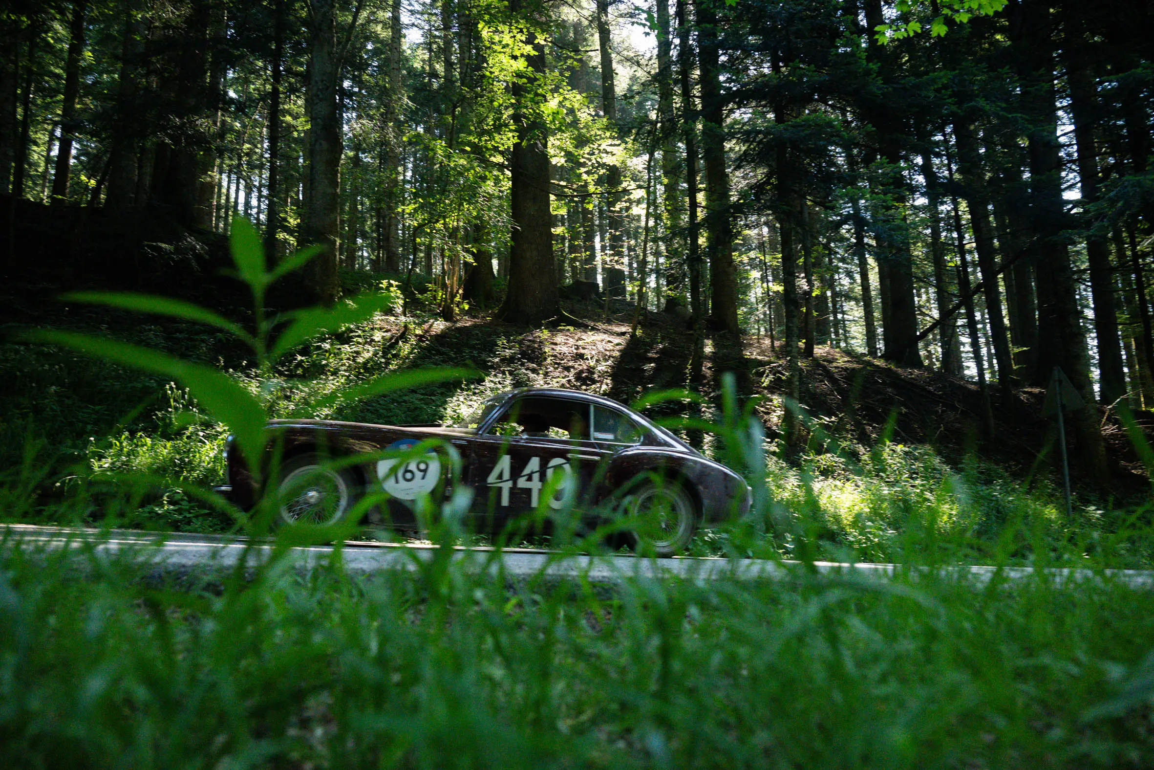 Mille Miglia 2025, il passaggio dal Parco nazionale delle Foreste Casentinesi
