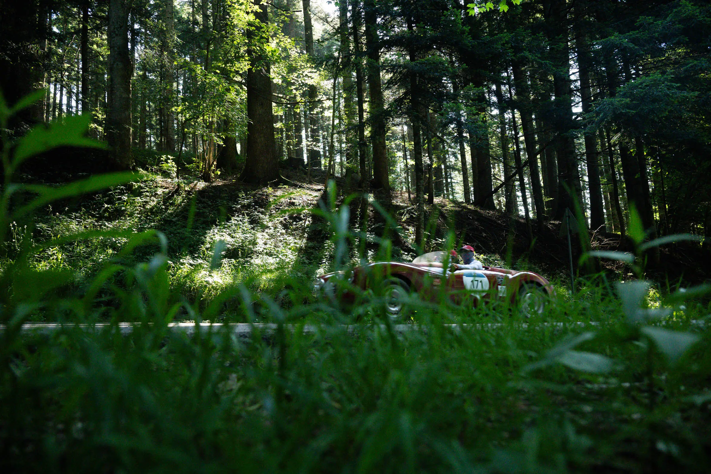 Mille Miglia 2025, il passaggio dal Parco nazionale delle Foreste Casentinesi