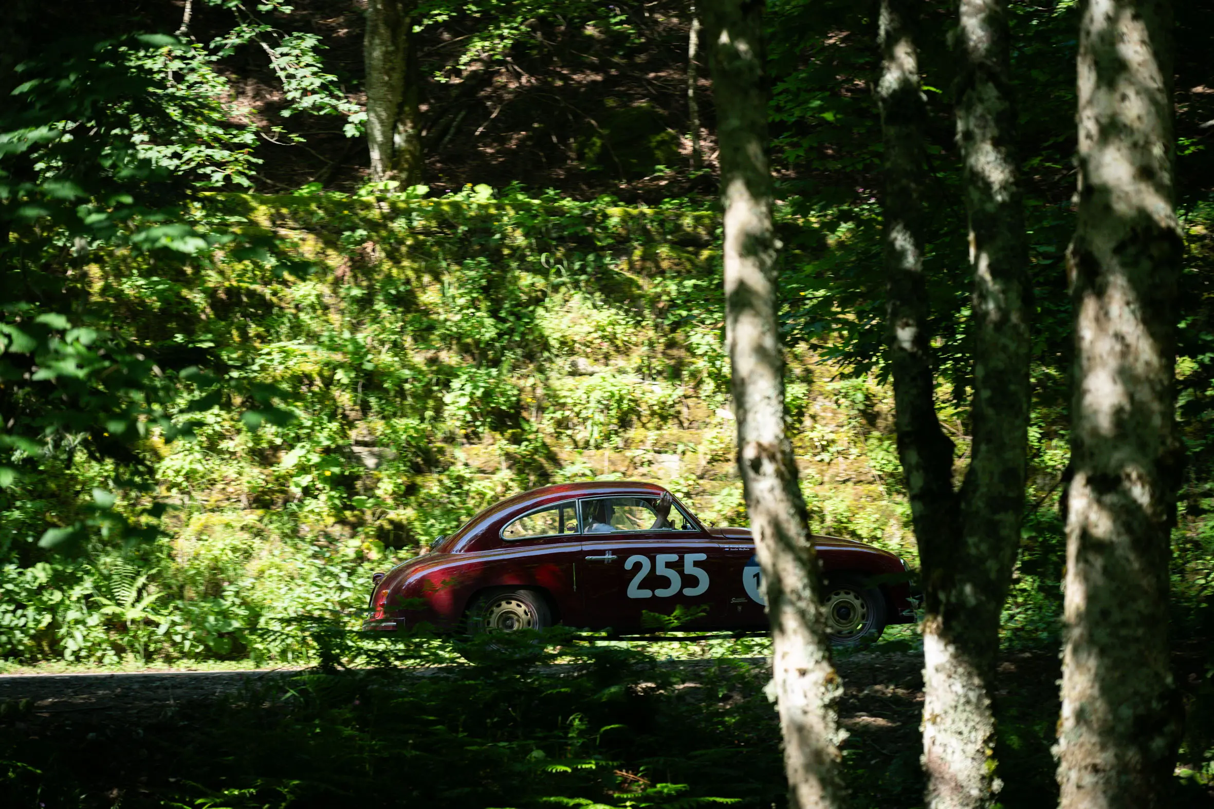Mille Miglia 2025, il passaggio dal Parco nazionale delle Foreste Casentinesi