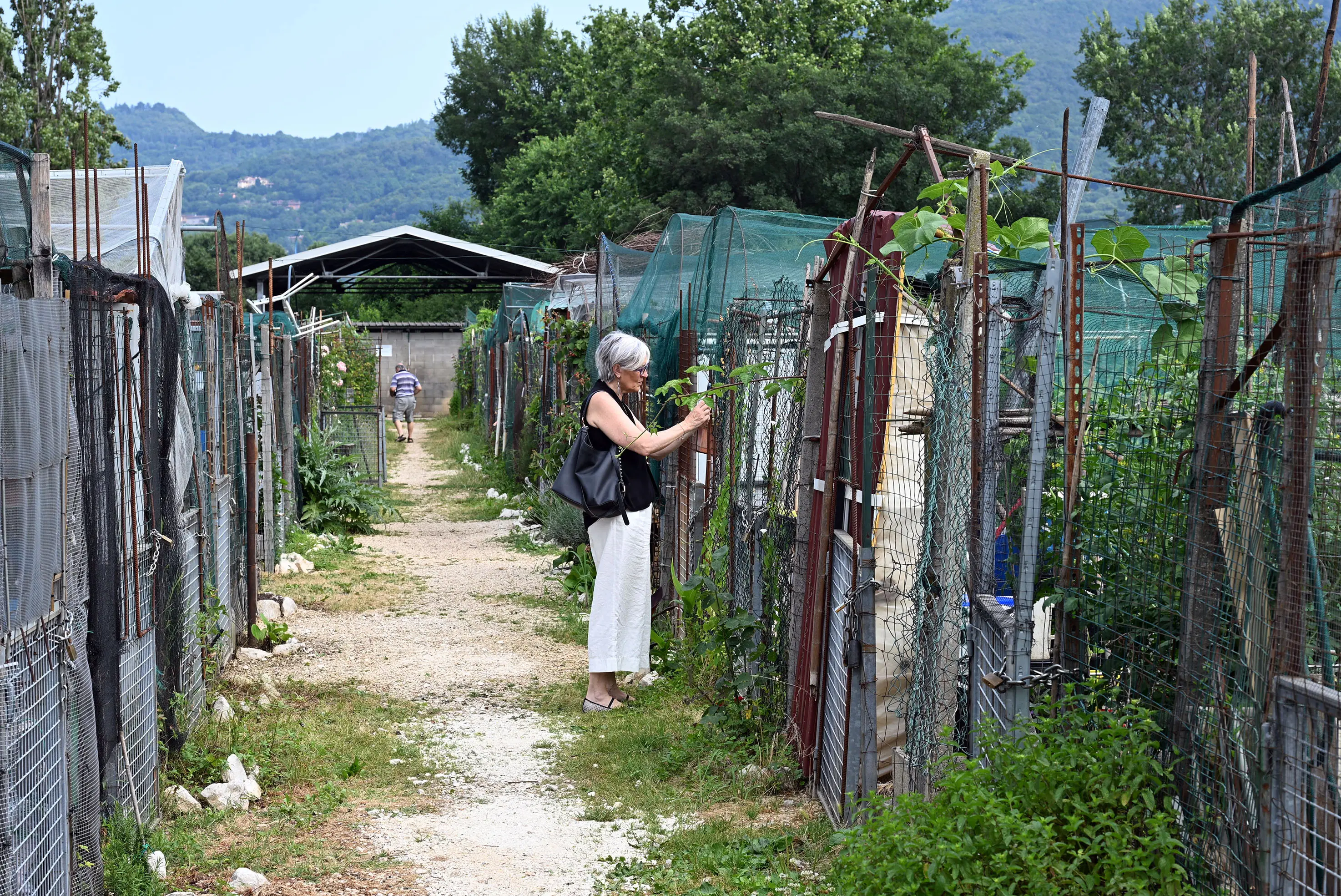 Gli orti sociali e familiari in via Cimabue