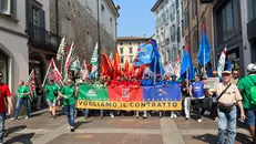 I metalmeccanici bresciani in corteo per le vie di Bergamo © www.giornaledibrescia.it