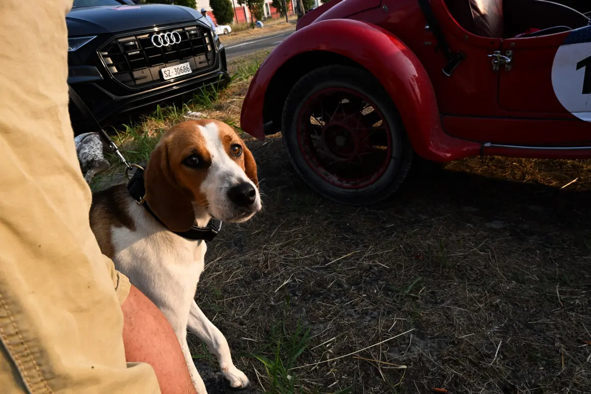 Mille Miglia 2025, la partenza da Parma