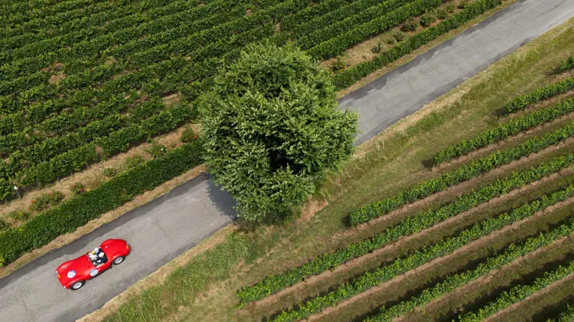 CRONACA BRESCIA MILLE MIGLIA 2025 BELLAVISTA FRANCIACORTA NELLA FOTO UN MOMENTO 20-06-2025 Newreporter@Checchi-Favretto