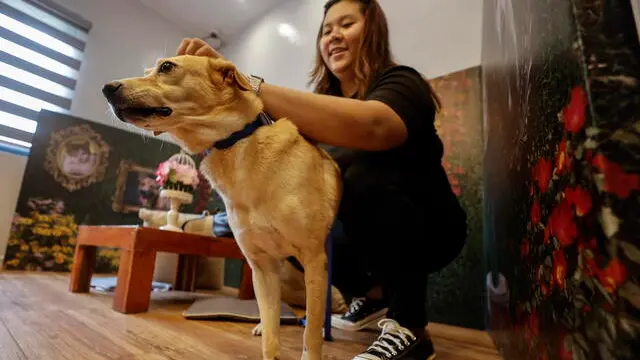 epa11146852 Guest RM Montes (R) spends time with Clay, a dog under the care of the Philippine Animal Welfare Society (PAWS) shelter in Quezon City, Metro Manila, Philippines, 12 February 2024. As Valentine's Day on 14 February approaches, PAWS opens its doors to animal lovers who can visit, meet and interact on a 'FURst Date' with cats and dogs that have been rescued from inhumane circumstances and taken under the shelter's care. EPA/ROLEX DELA PENA