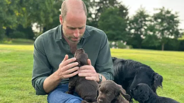 William compie 43 anni, foto sui social con i cuccioli di cocker