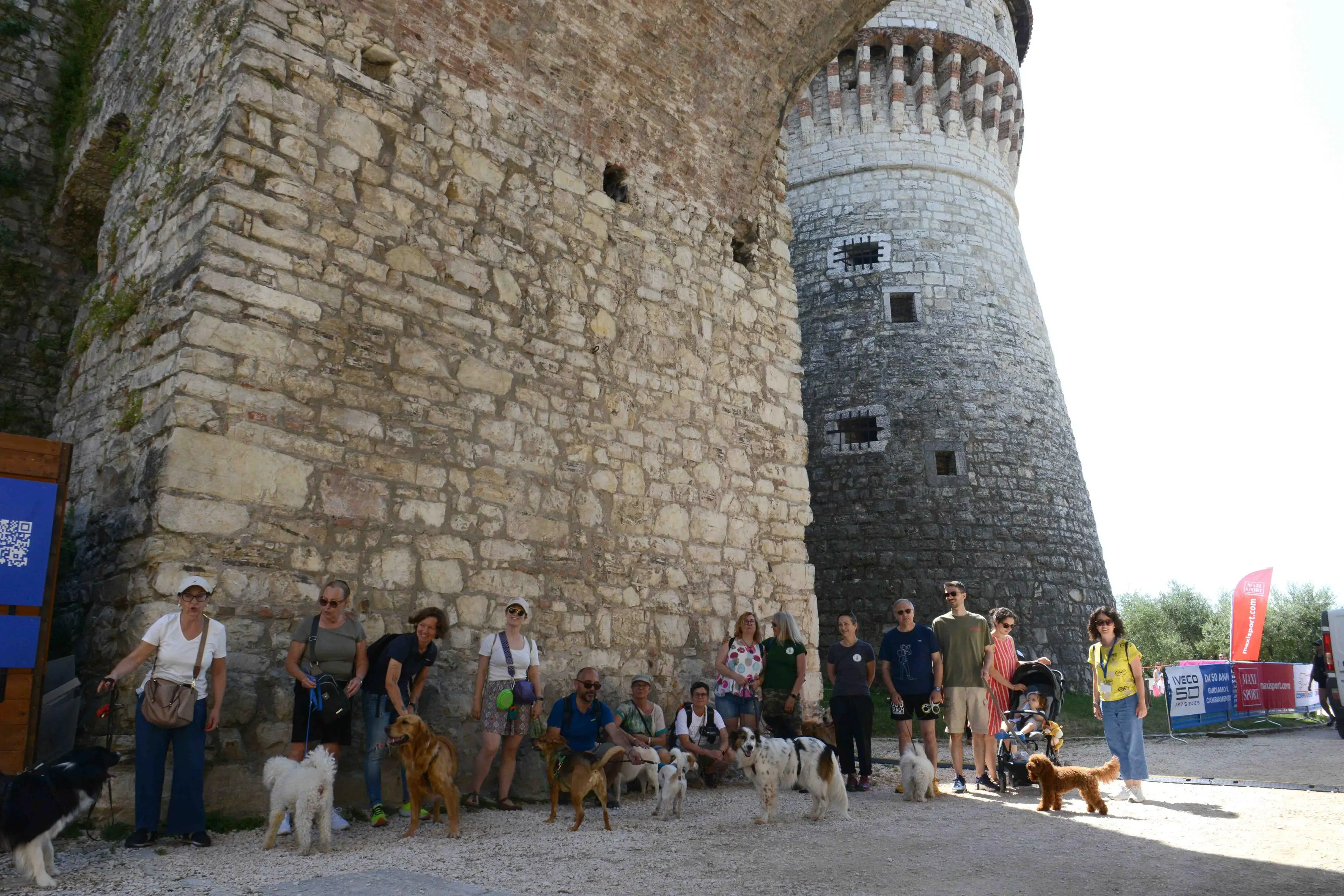 We dog Castello