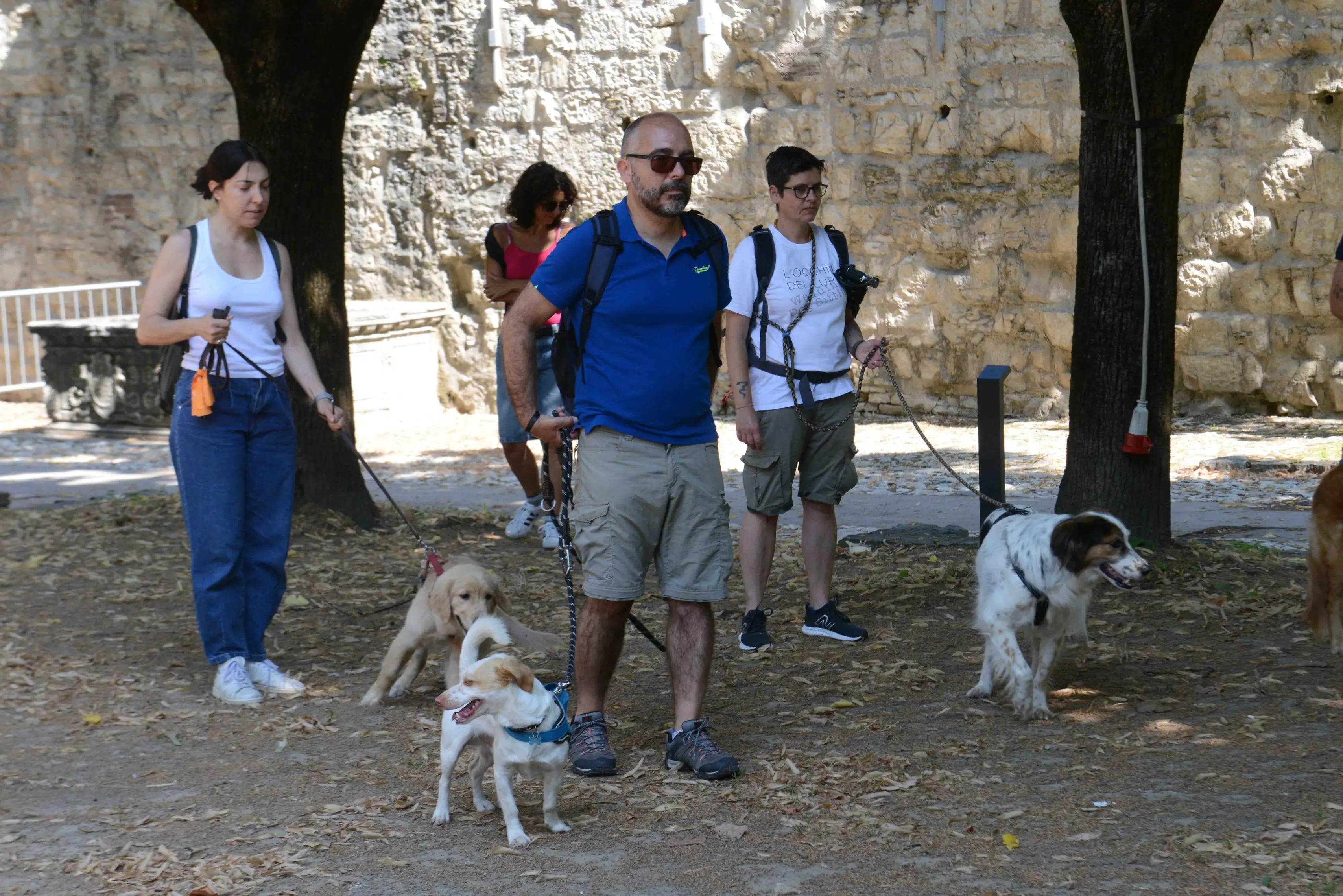 We dog Castello
