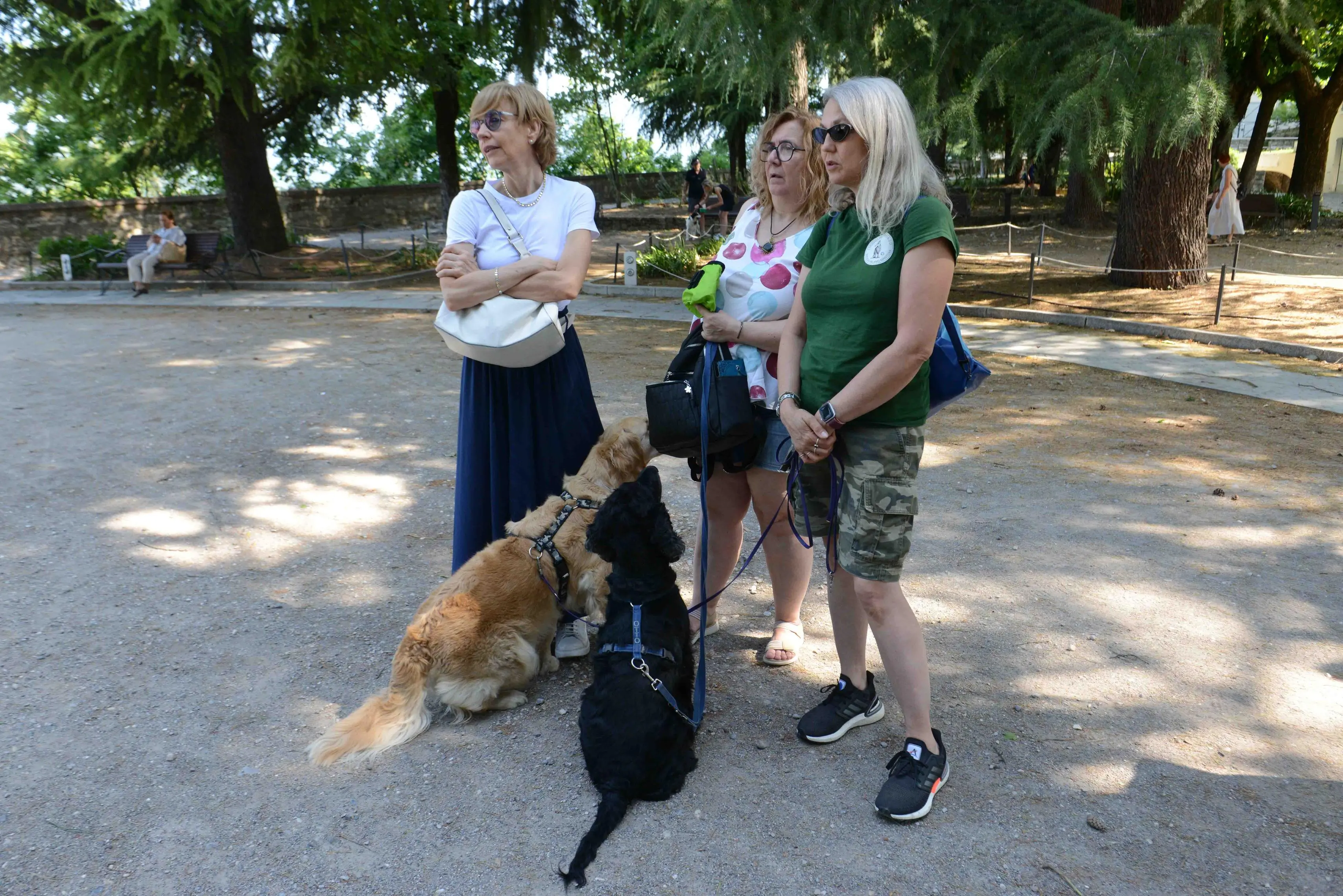 We dog Castello