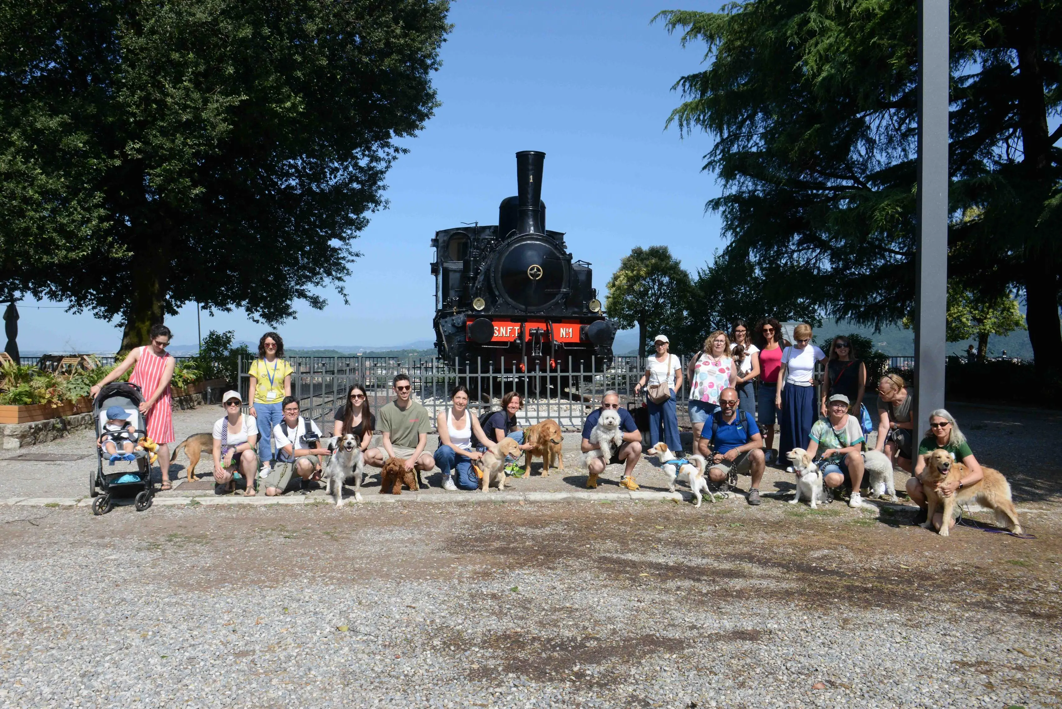 We dog Castello