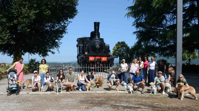 I partecipanti di We dog Castello - Foto Giovanni Benini/Neg © www.giornaledibrescia.it