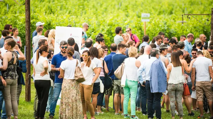 Moltissime le occasioni per vivere l’estate all’aperto