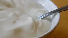 Uno yogurt - © www.giornaledibrescia.it