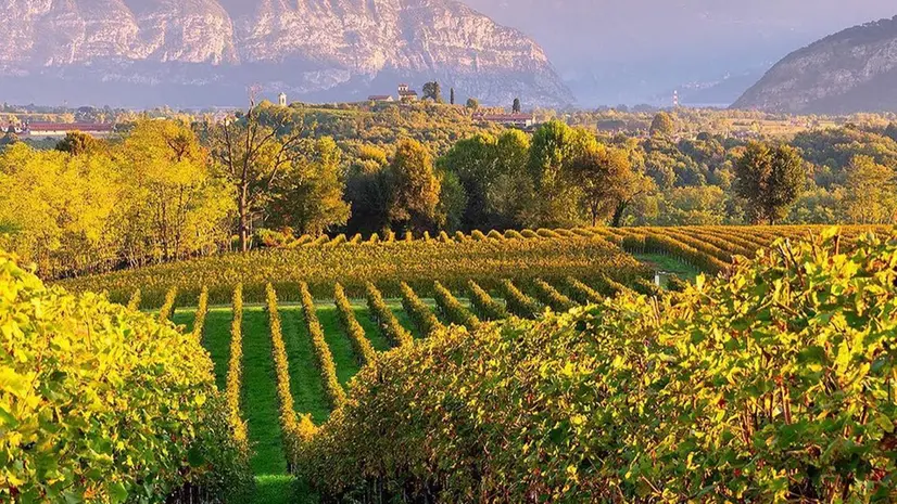 La franciacorta e i suoi vigneti - © www.giornaledibrescia.it