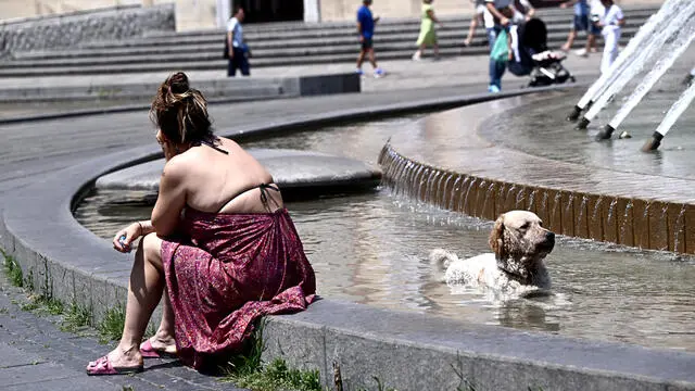 Un cane si rinfresca dalla grande calura facendo il bagno nella fontana di piazza De Ferrari. Genova, 20 giugno 2025. ANSA/LUCA ZENNARO