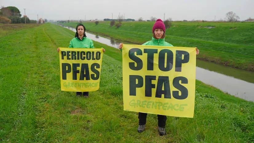 Valori di Pfas, la raccolta dei campioni di Greenpeace - © www.giornaledibrescia.it