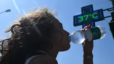 Una ragazza si disseta bevendo acqua fredda da una bottiglietta a Genova. 31 luglio 2018. Ondata di calore in Liguria con bollino rosso anche per il 2 agosto, prolungata dunque di altre 24 ore dal Ministero di Salute rispetto all'allerta diramato ieri. Arpal ha emesso un avviso meteorologico per avvertire dell'ondata di calore con elevato disagio a causa di temperature elevate e tassi d'umidità medio alti. ANSA/LUCA ZENNARO