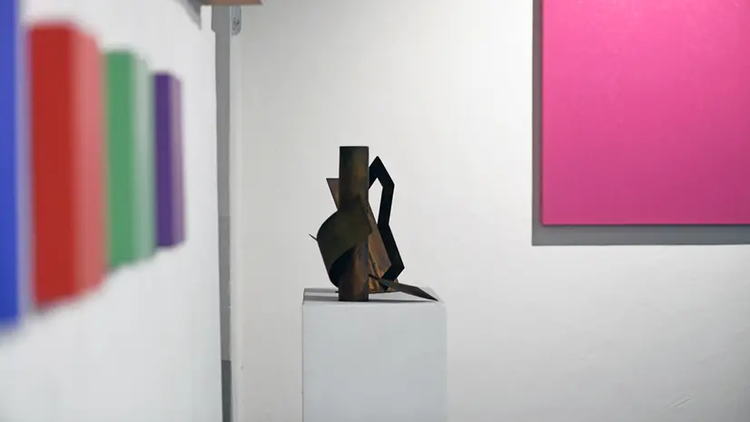 Uno scorcio dell'esposizione a Iseo